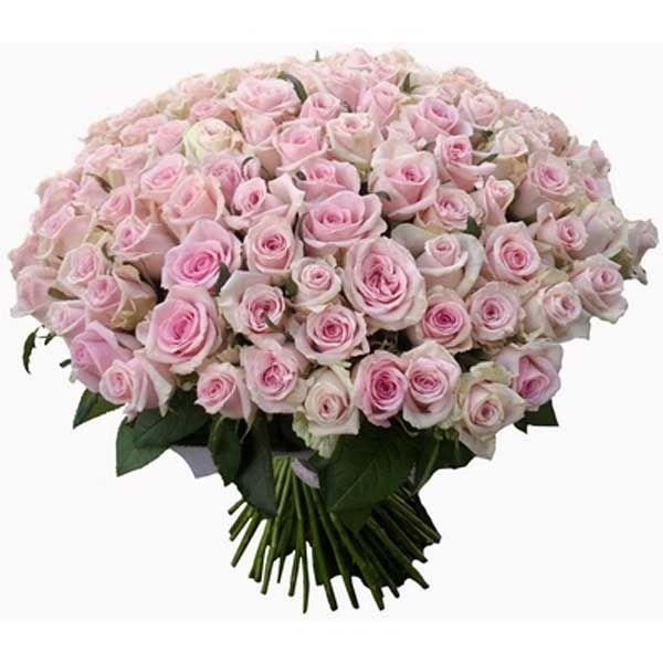 Twilight Whispers Elegant Blossom Collection